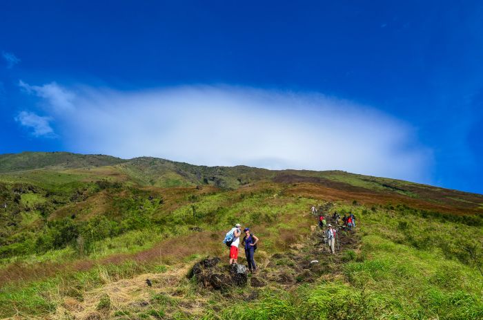 Climbing Mount Cameroon, Cameroon