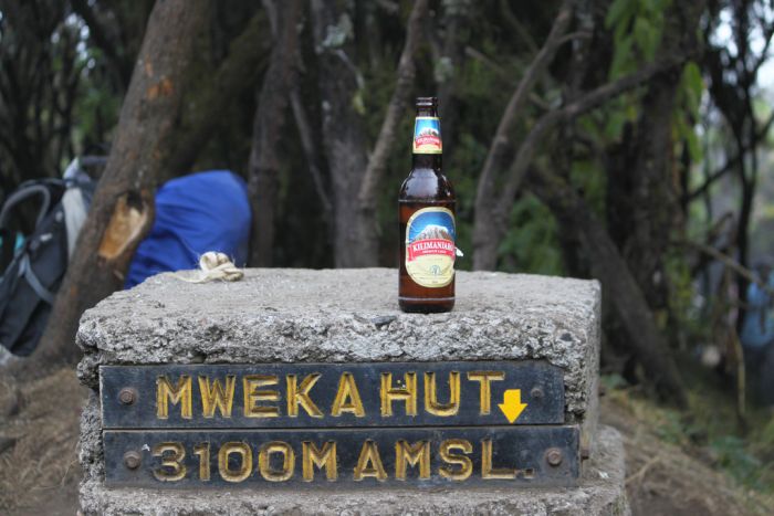 Kilimanjaro beer
