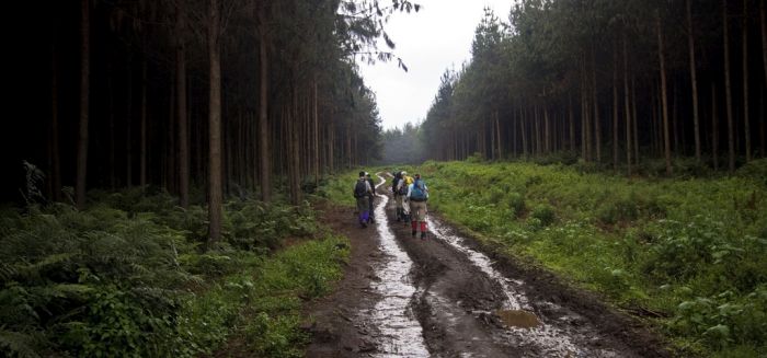 Climbing Mount Kilimanjaro