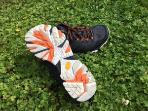 Merrell Moab FST GTX shoe