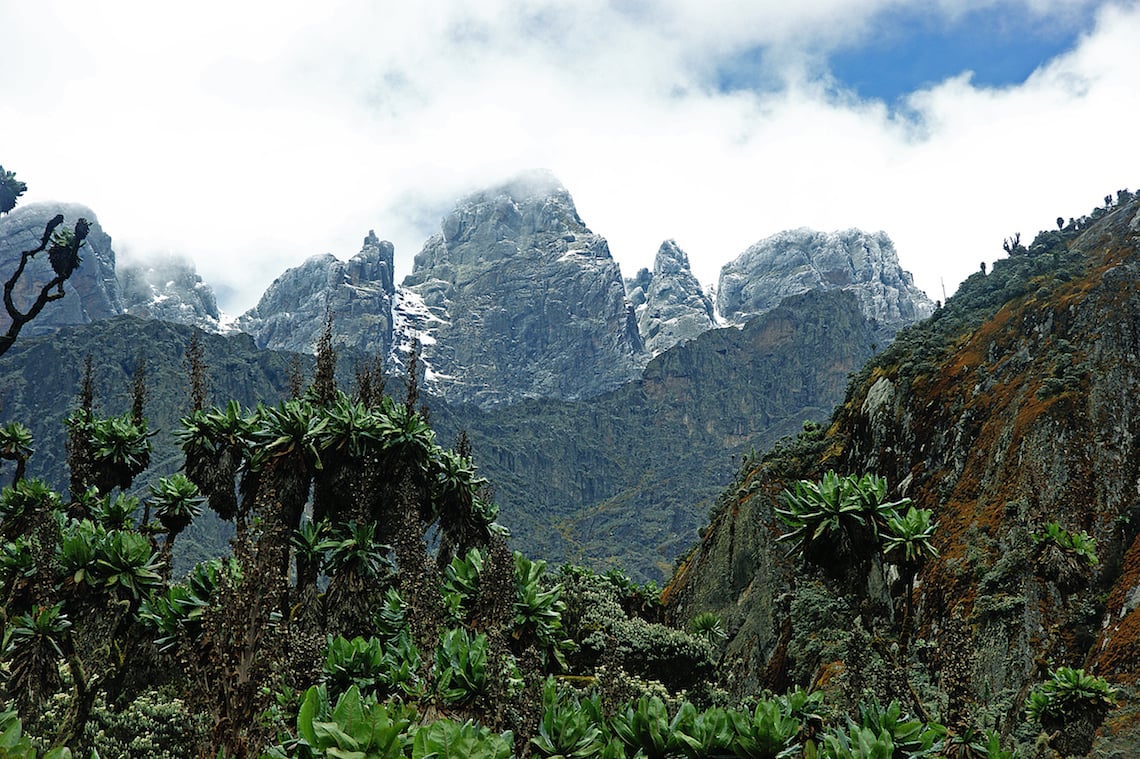 Rwenzori Mountains best hikes in Africa