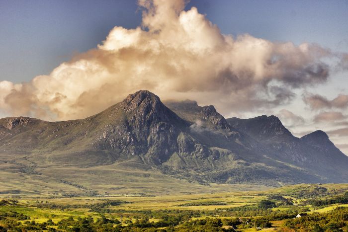 Ben Loyal