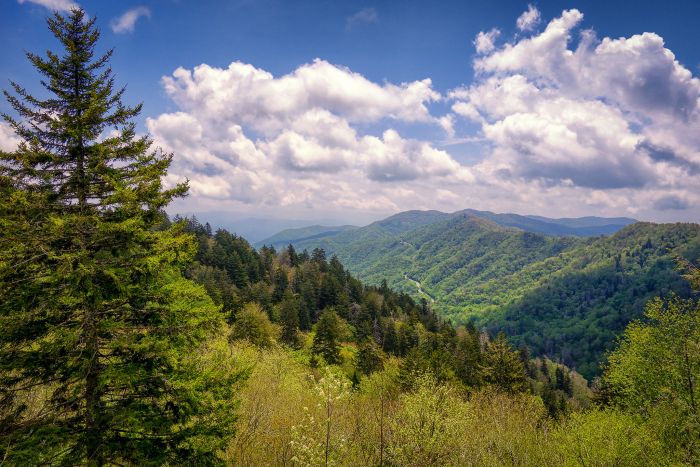 Newfound Gap - Smoky Mountains, USA