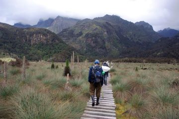 Trekking Rwenzori Mountains, Uganda