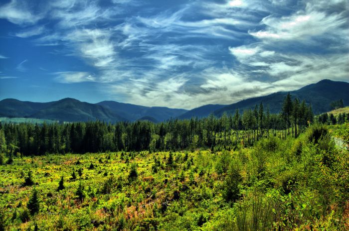 West Coast - Vancouver Island, Canada