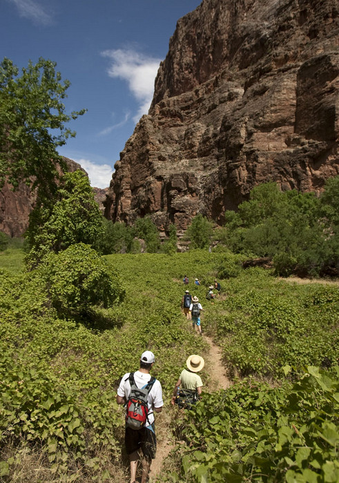 Canyon Hiking