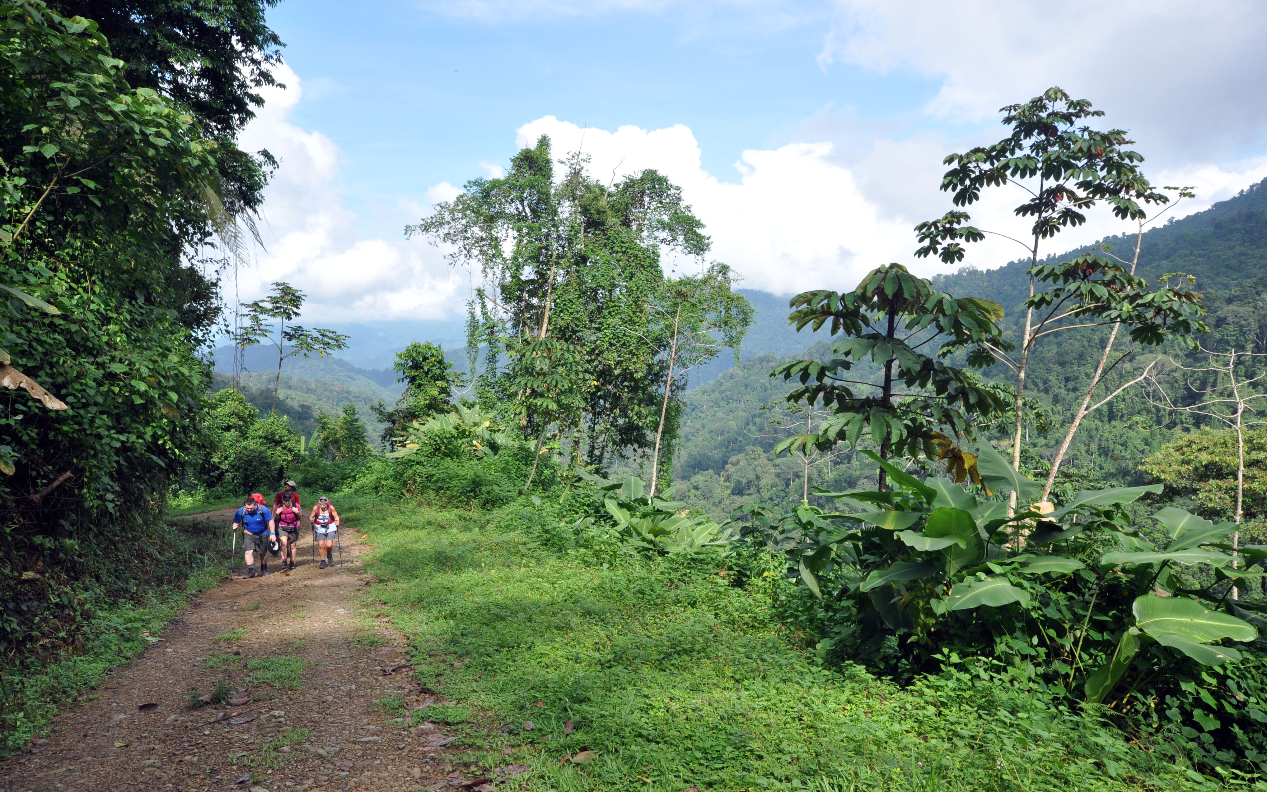 Costa Rica rainforest