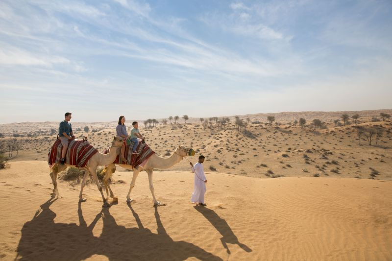 Camel trekking in Al Wadi Desert, Ras Al Khaimah