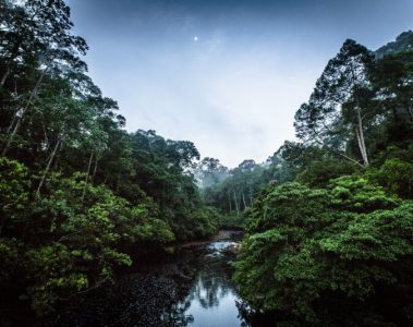 Raleigh-International-Volunteering-Expedition-Borneo