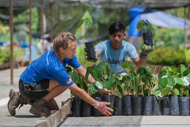 Raleigh-International-Volunteering-Expedition-Borneo