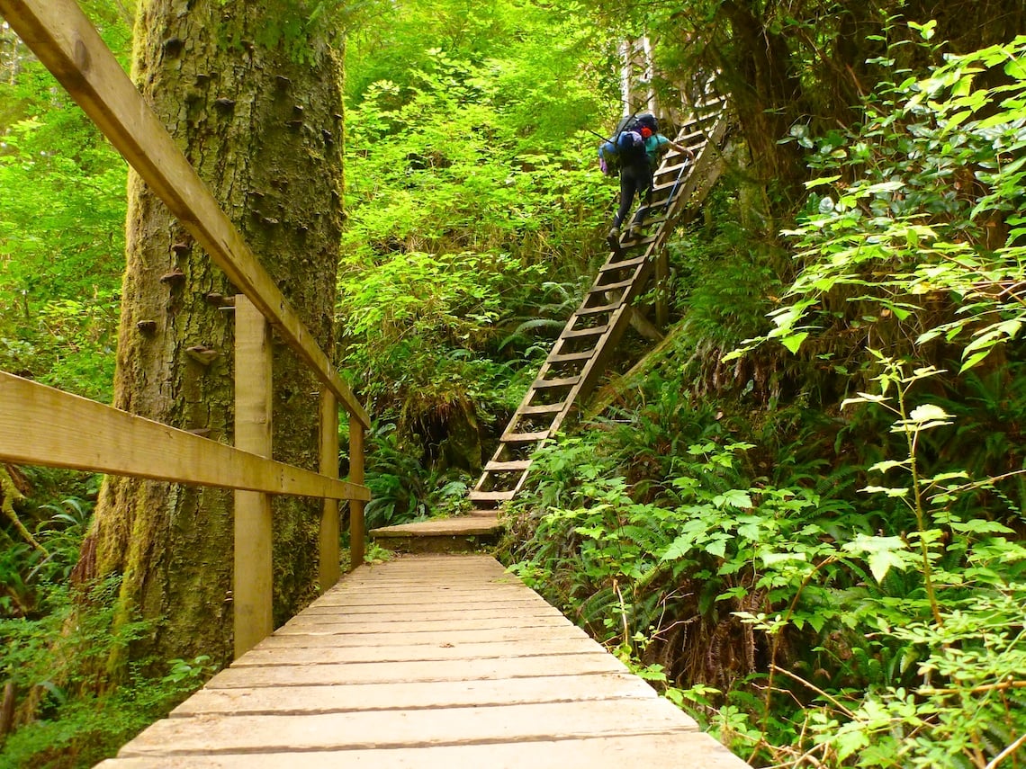 West Coast Trail ladder extreme hikes