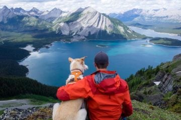 Jaspeywood adventure dog on Instagram
