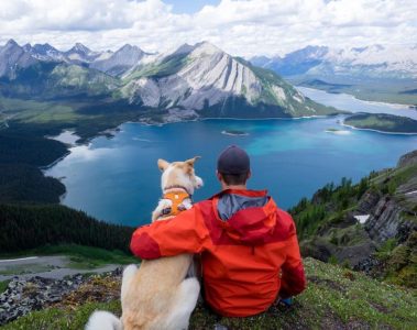 Jaspeywood adventure dog on Instagram