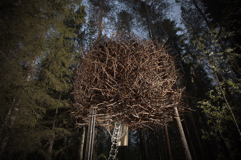 Bird nest hotel in Vancouver