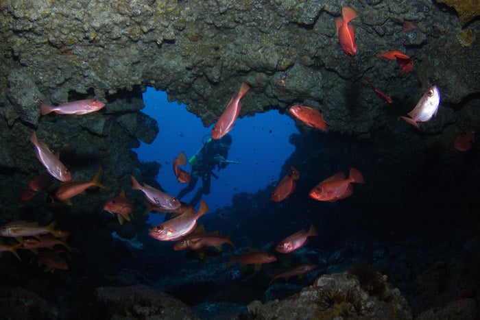 Diving St Helena