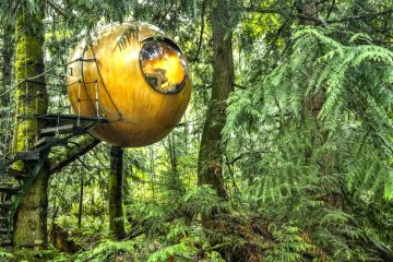 Sphere shaped tree house in Vancouver - coolest places to stay in the world