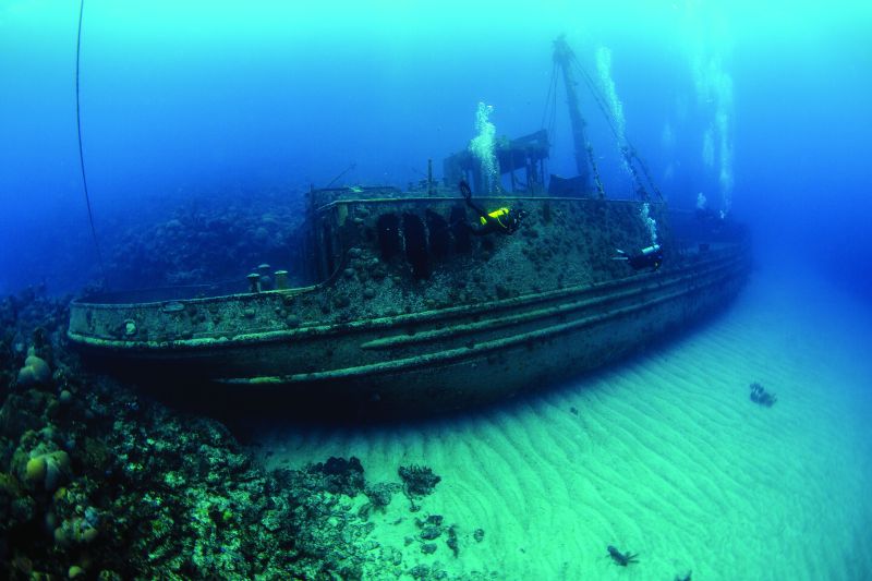 Scuba Diving in Bermuda