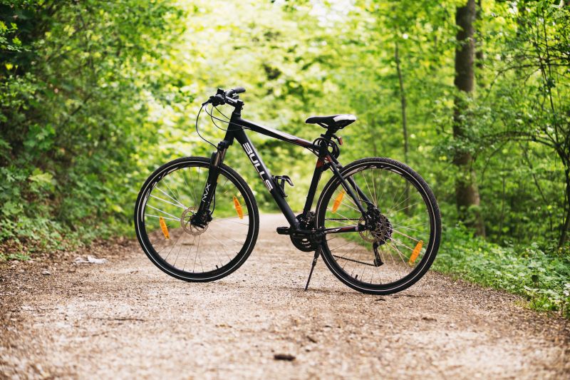 Cycling in a woodland