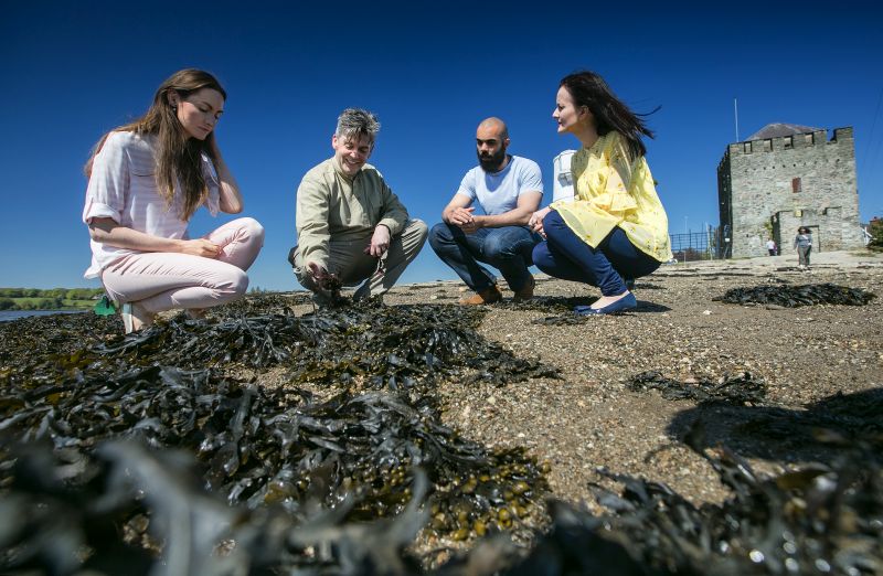 Seafood tour in Northern Ireland