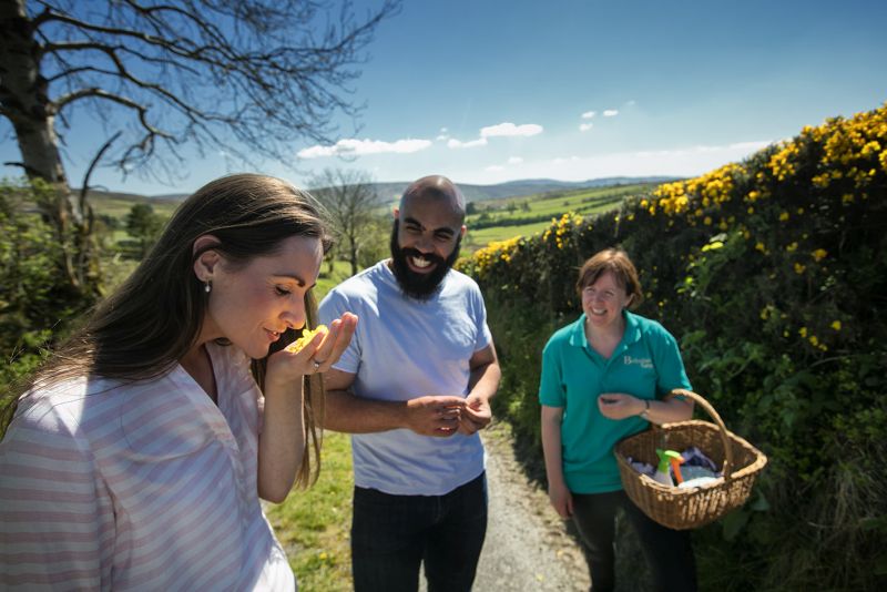 Northern Ireland food tour 