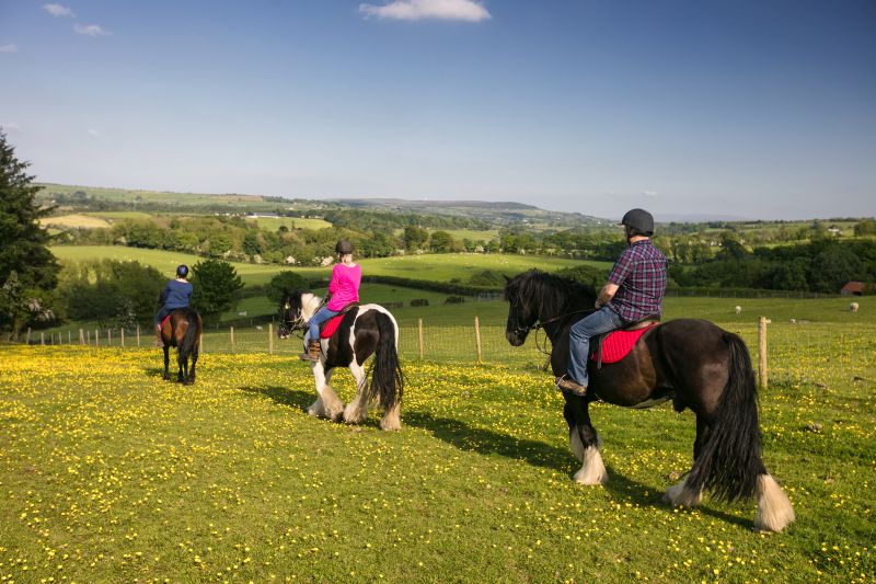 Horse riding in Northern Ireland