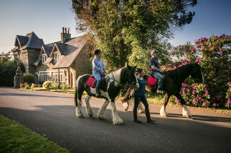 Horse riding trip in Northern Ireland