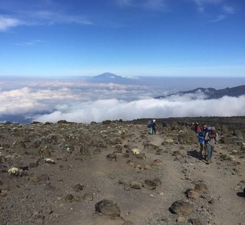 Trekking Mount Kilimanjaro
