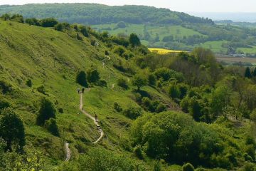 Crickley Hill