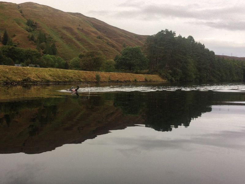 Scottish loch swimming