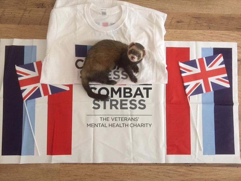 Combat Stress