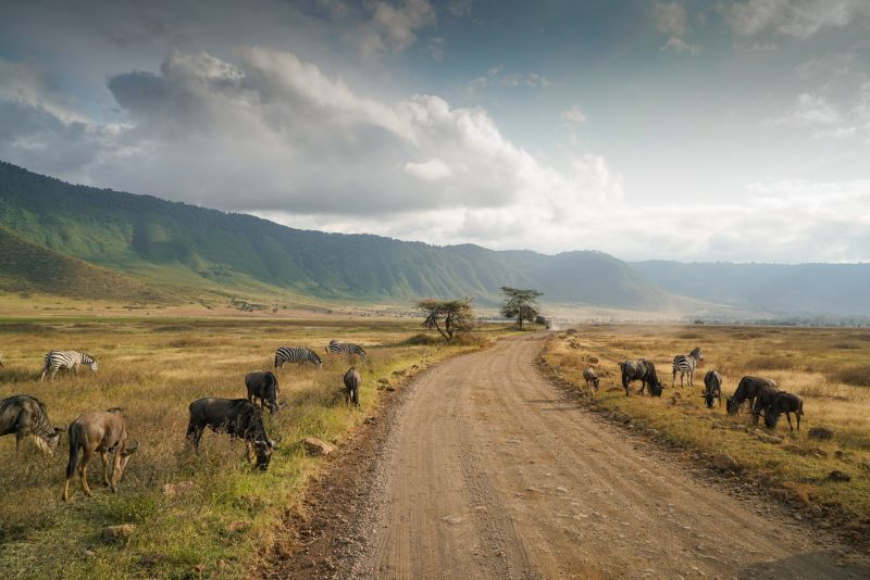 Ngorongoro Conservation Area in Tanzania