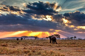 Tanzanian landscape