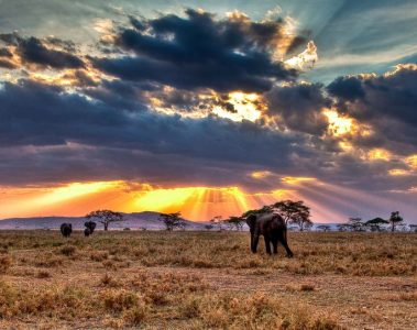 Tanzanian landscape
