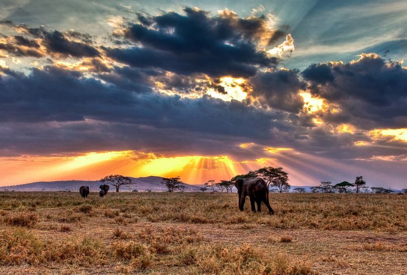 Tanzanian landscape