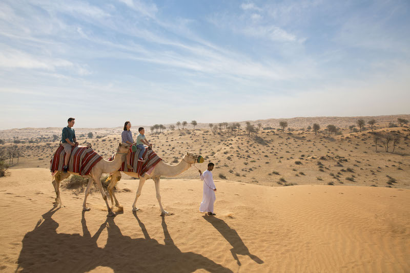 Camel trekking in Ras Al Khaimah