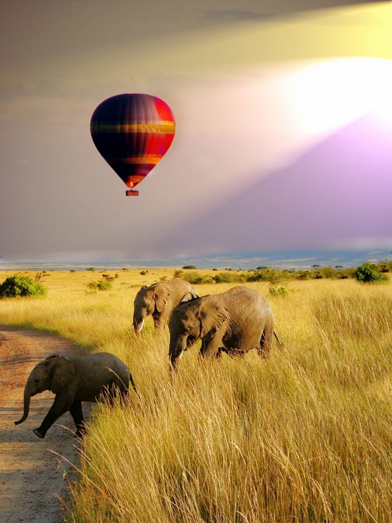 Balloon safari