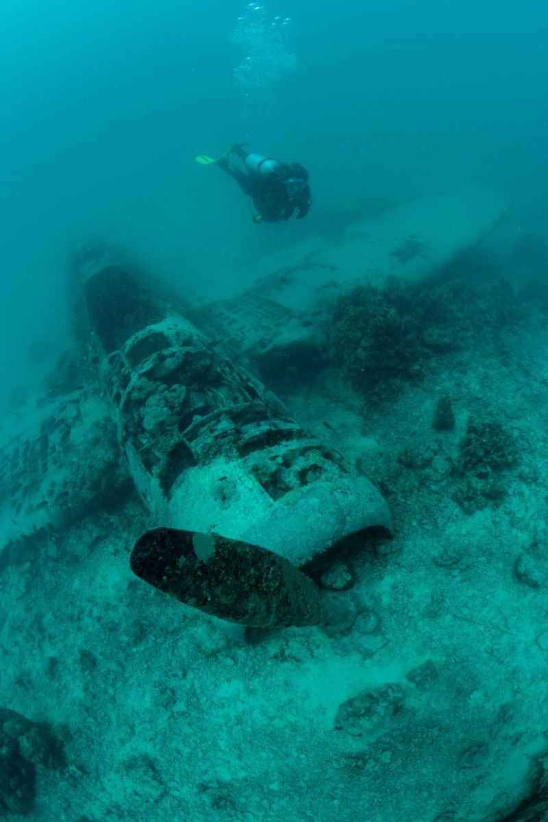 Diving in Papua New Ginuea