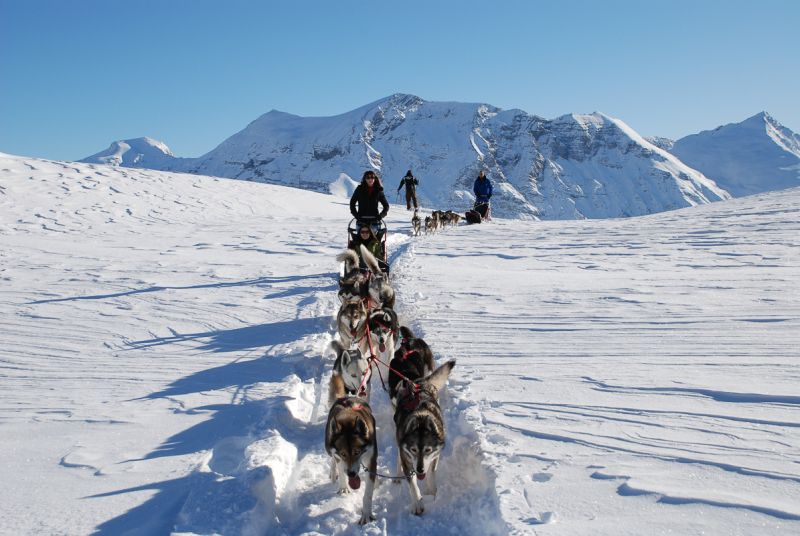 Husky sledding in the French Alps