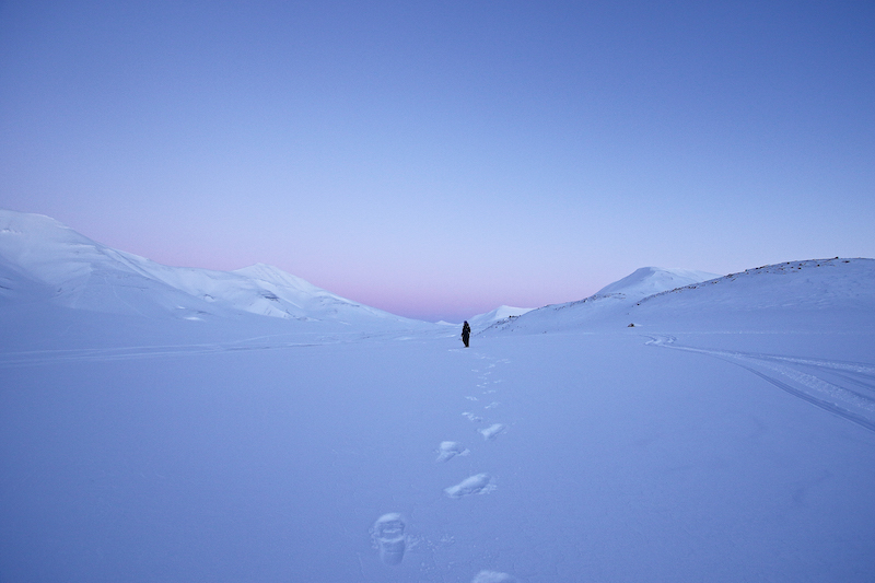 Exploring Svalbard