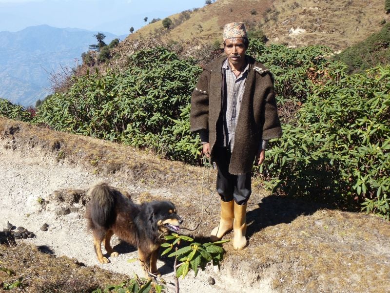 Shepherd with his dog