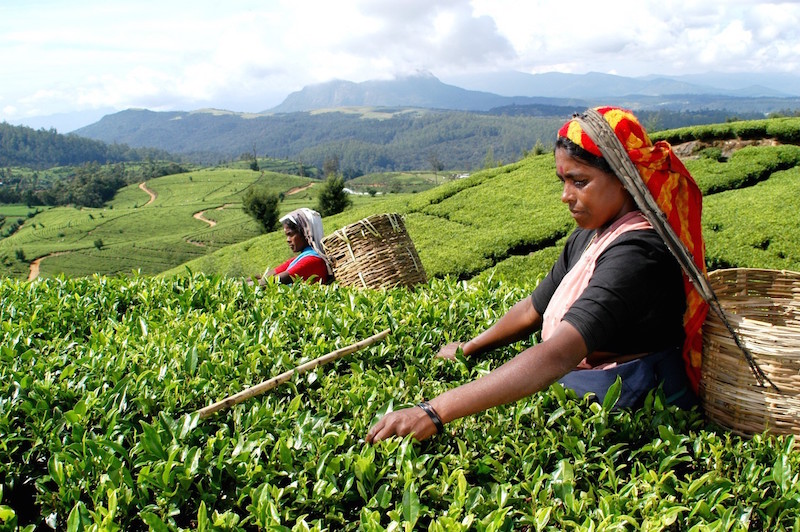 Adventure in Sri Lanka