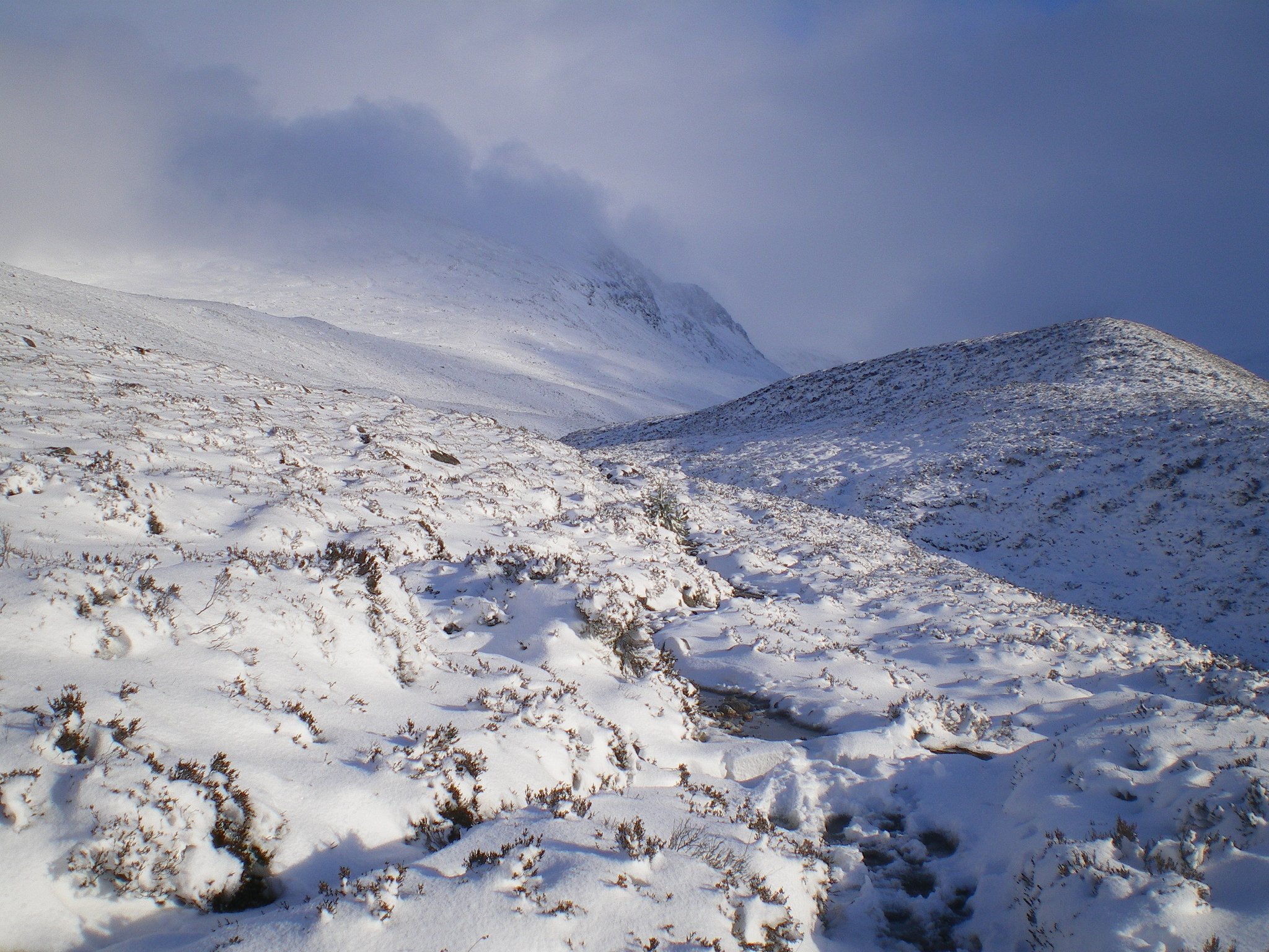 Cairngorm plateau