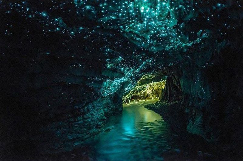 Glow worm cave New Zealand