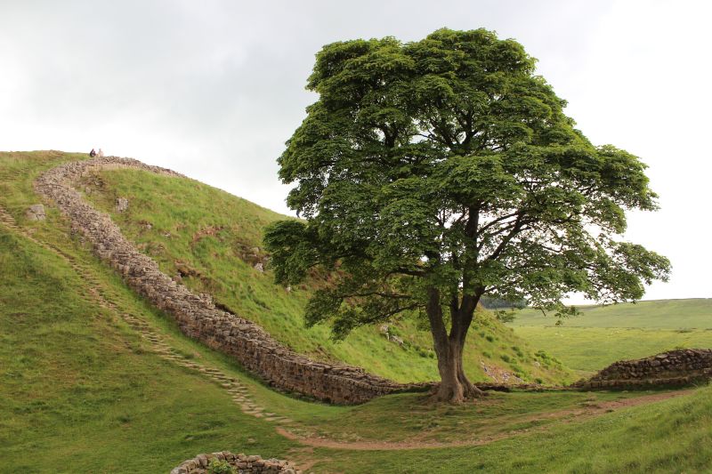 Hadrian's Wall hiking route