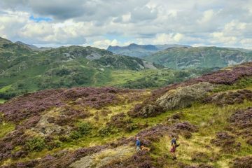 Holme Fell Lake District