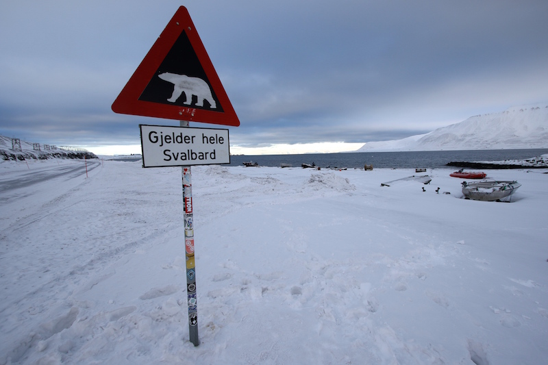 Polar bear sign