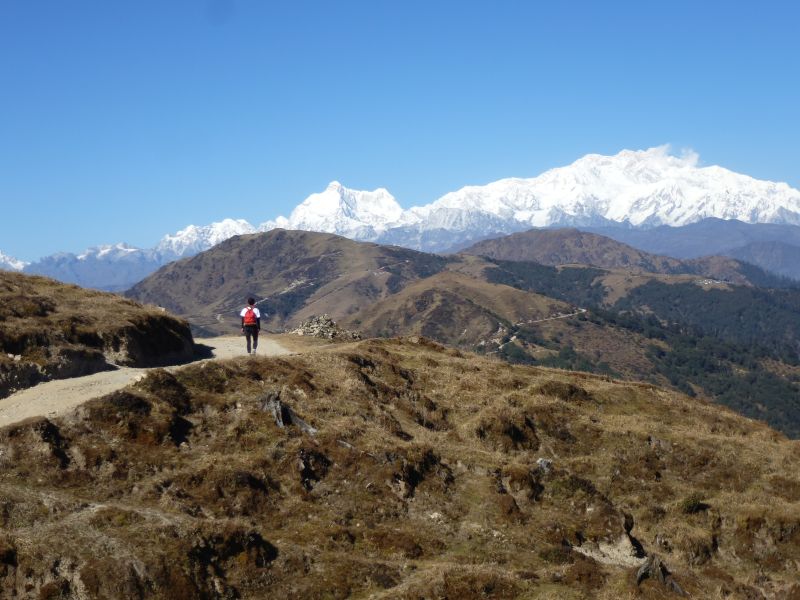 the singalila ridge trek