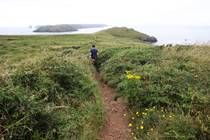 Walking the Pembrokeshire Coast Path