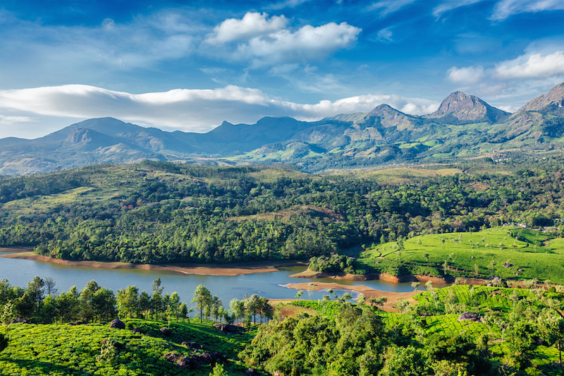 Countryside near Munnar in the Western Ghats, India