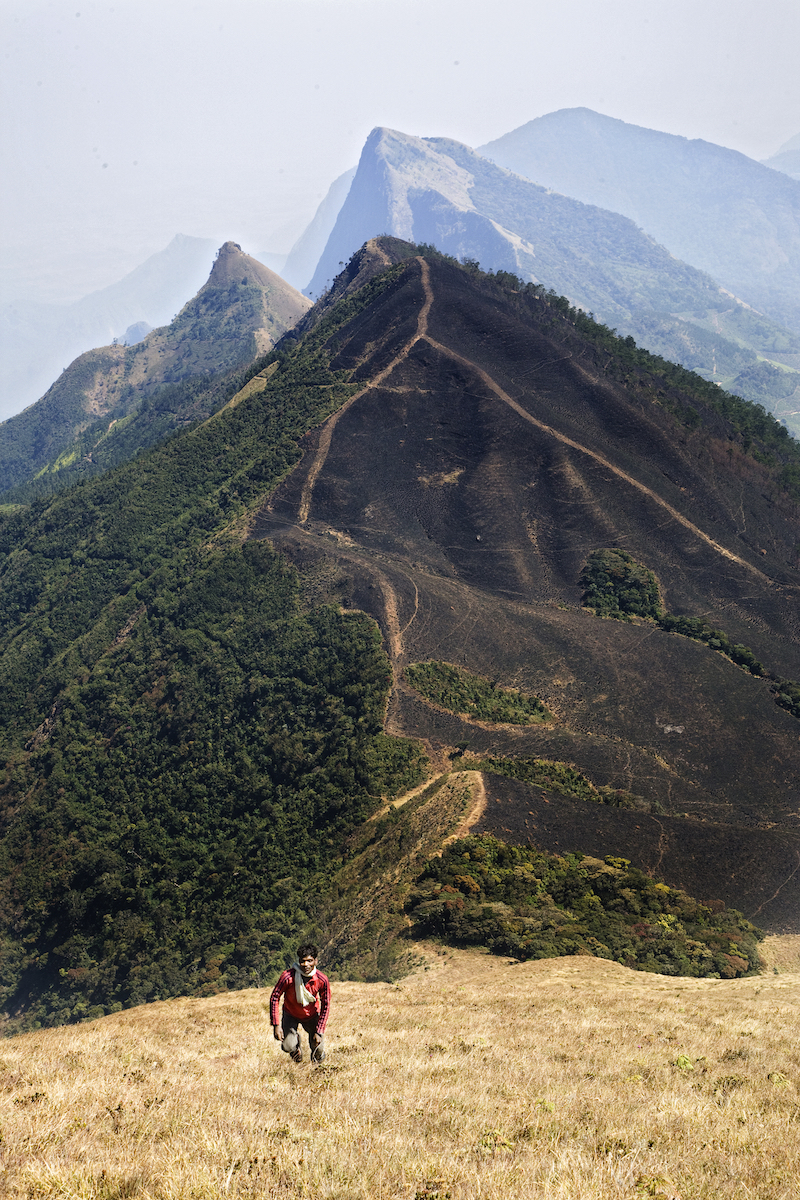 Hiking Meesapulimala in India